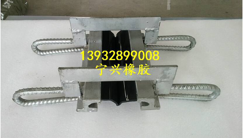 RG型桥梁伸缩缝
